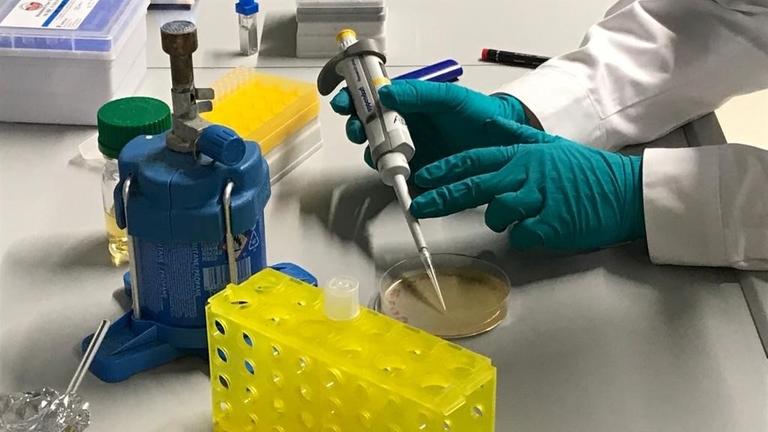 Dreharbeiten bei Dr. Andrea Thorn in Hamburg, die zusammen mit einem internationalen Team daran arbeitet, die Virusstruktur ganz genau zu entschlüsseln.