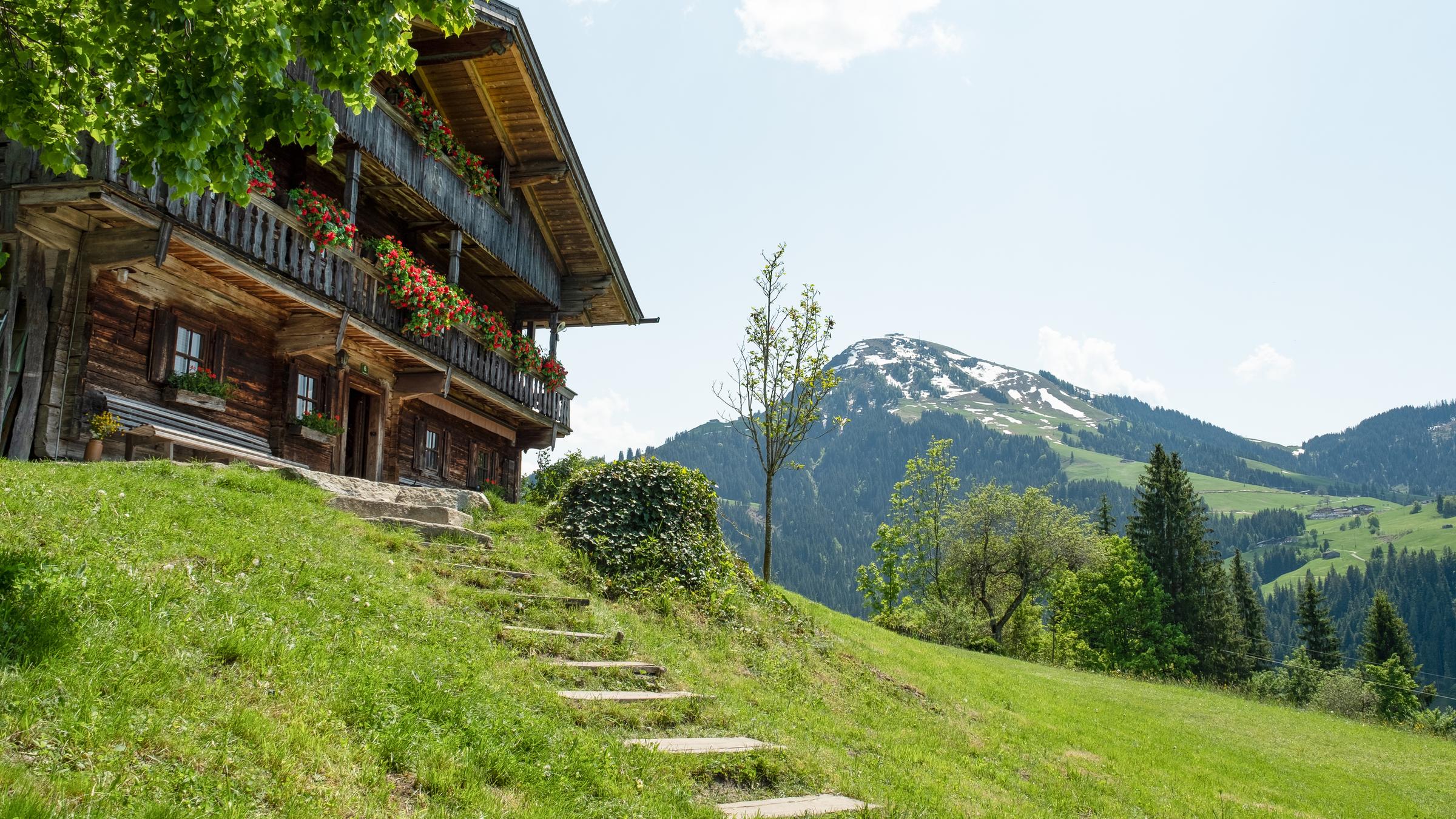 ZDF/Andrea Leichtfried, Honorarfrei - nur für diese Sendung inkl. SocialMedia bei Nennung ZDF und Andrea Leichtfried.