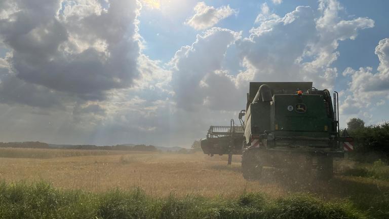 "Die Lausitz - Kohlestaub und Zukunftsträume": Mähdrescher auf dem Feld. Im Hintergrund blauer Himmel, Sonne und Wolken.