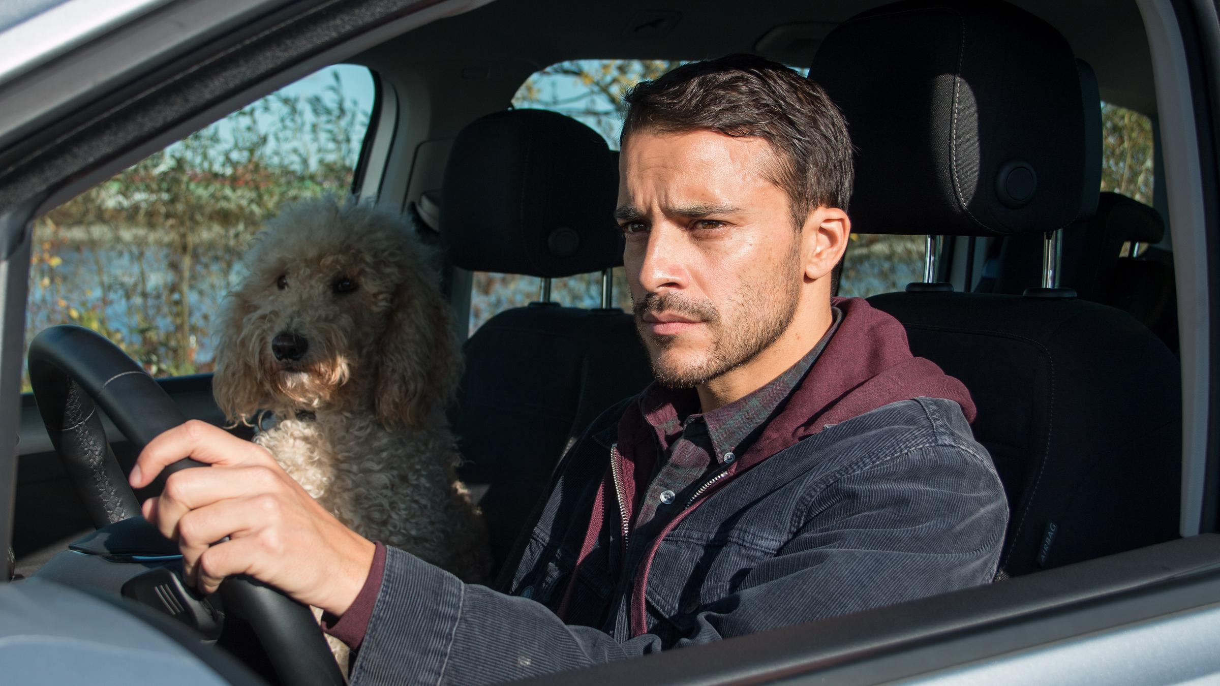 "Aus dem Tagebuch eines Uber-Fahrers - Gib mir mein Herz zurück": Ben (Kostja Ullmann) sitzt am Steuer eines Autos neben einem Hund und blickt konzentriert aus dem Fenster.