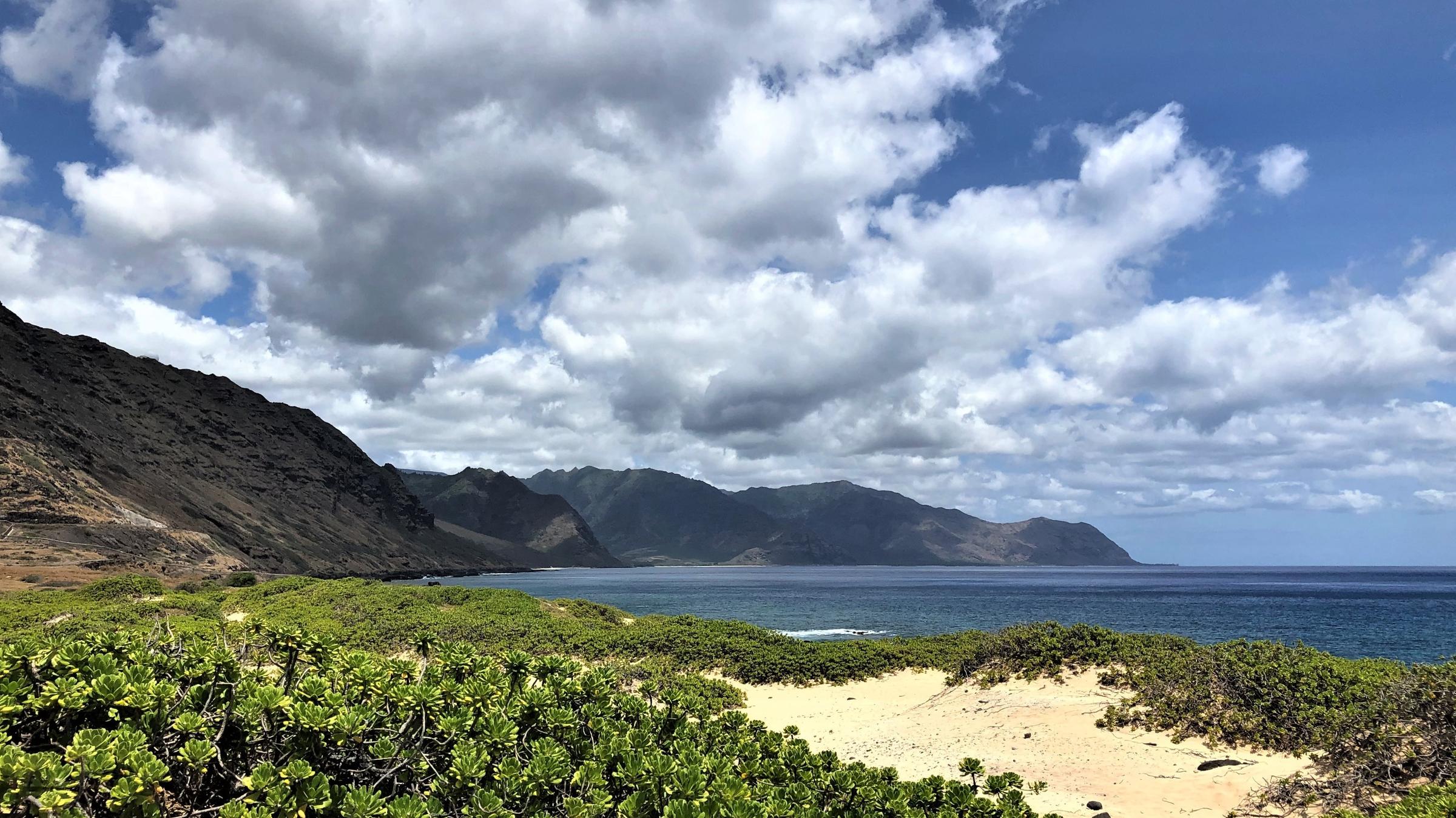 "Hawaiis versteckte Paradiese": Küstenabschnitt auf Hawaii mit niedrig gewachsenen Pflanze (Kaena Point am nordwestlichsten Zipfel der Insel Oahu).