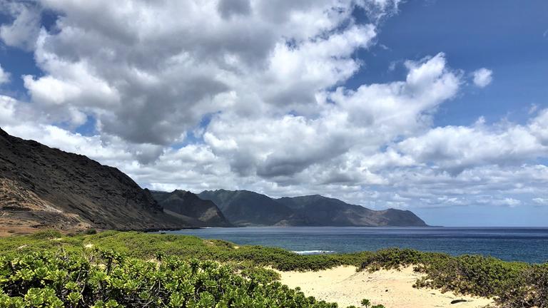 "Hawaiis versteckte Paradiese": Küstenabschnitt auf Hawaii mit niedrig gewachsenen Pflanze (Kaena Point am nordwestlichsten Zipfel der Insel Oahu).