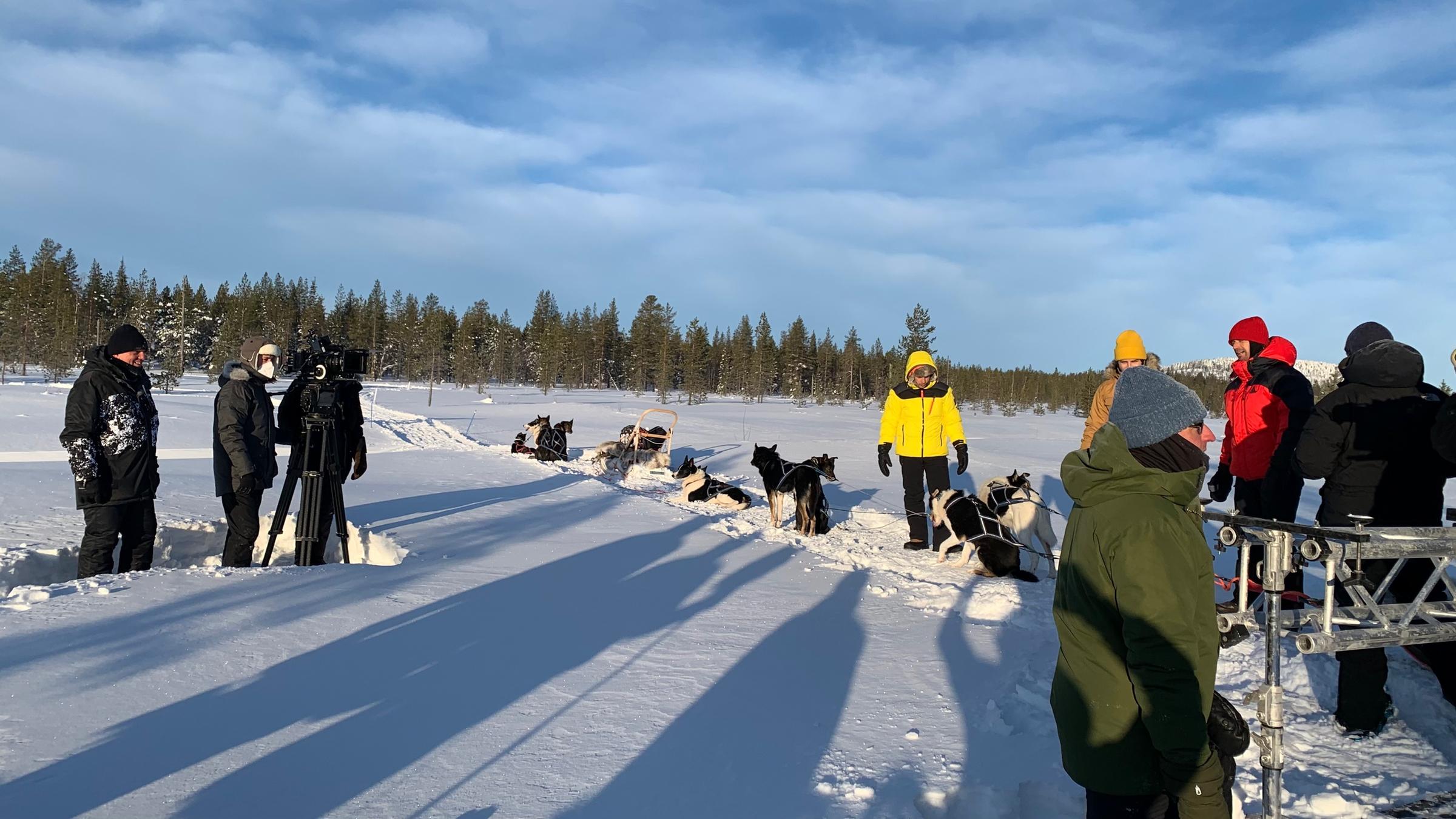 "Das Traumschiff - Spezial 2022": Winterlandschaft mit Kamera links im Bild, Schlittenhunde in der Mitte, rechts Taifun Baydar mit gelber Jacke und Florian Silbereisen mit roter Jacke.