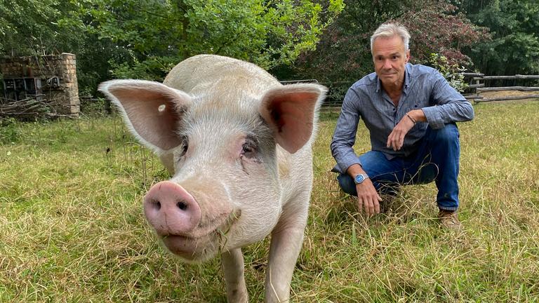 "Hannes Jaenicke: Im Einsatz für das Schwein": Hannes Jaenicke in der Hocke neben einem Schwein.