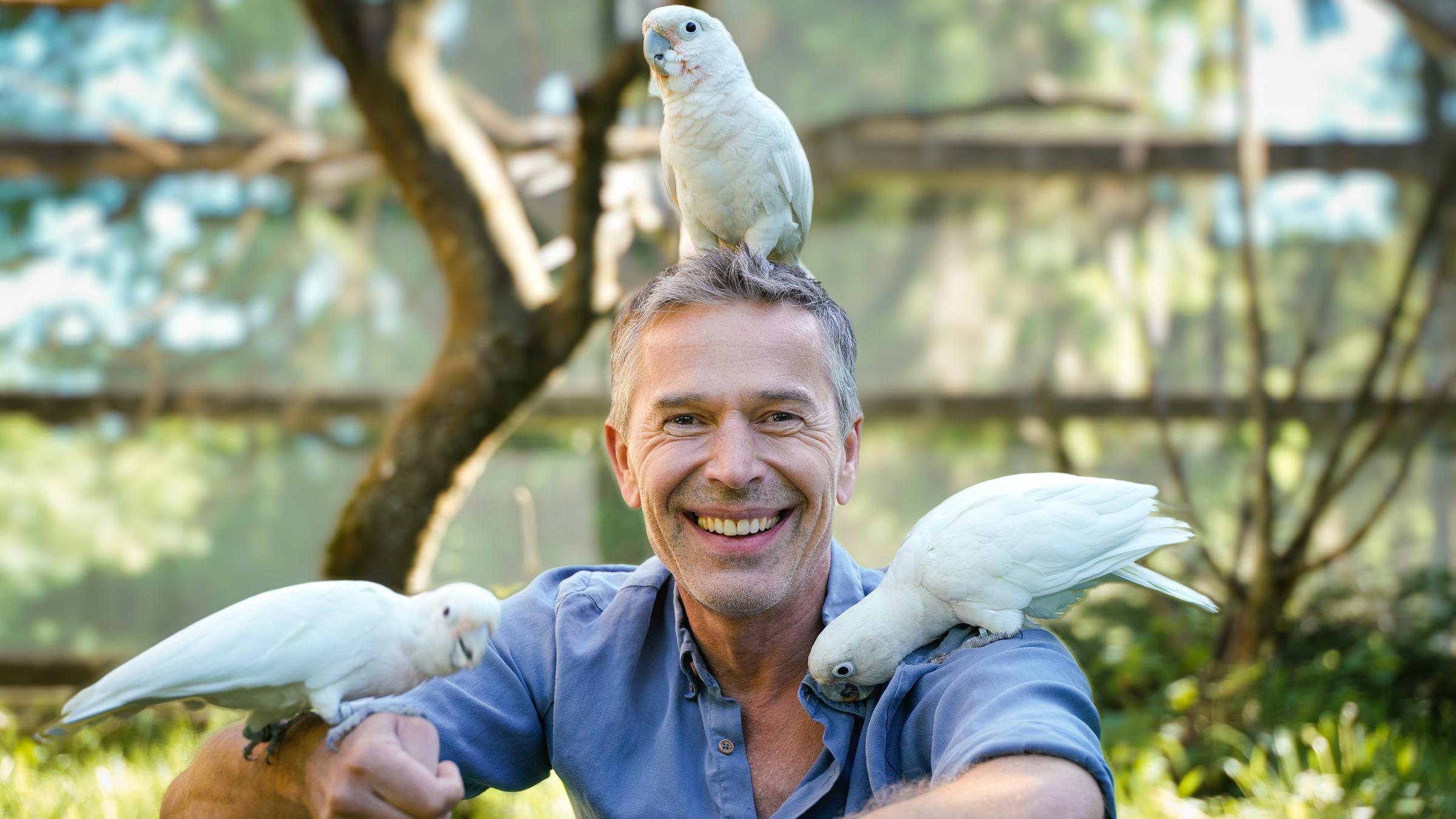 "Terra X: Faszination Erde – mit Dirk Steffens: Spatzenhirne und Intelligenzbestien": Dirk Steffens mit Kakadus.