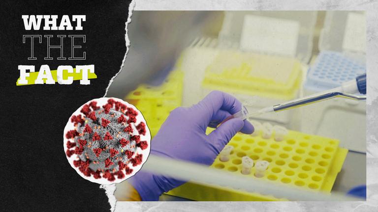 "#WTF - Corona aus dem Labor?": Das Bild ist geteilt, im linken Drittel ist im Cut-Out Stil ein schwarzer Papierstreifen zu sehen, auf dem der Titel "WHAT THE FACT“ zu lesen ist. Über den Riss liegt im Cut-Out Stil ein Coronavirus. Rechts ist ein Foto zu sehen: Eine Hand mit lila Handschuh arbeitet mit einer Pipette und kleinen Reaktionsgefäßen, verschiedene gelbe Behälter stehen im Hintergrund.