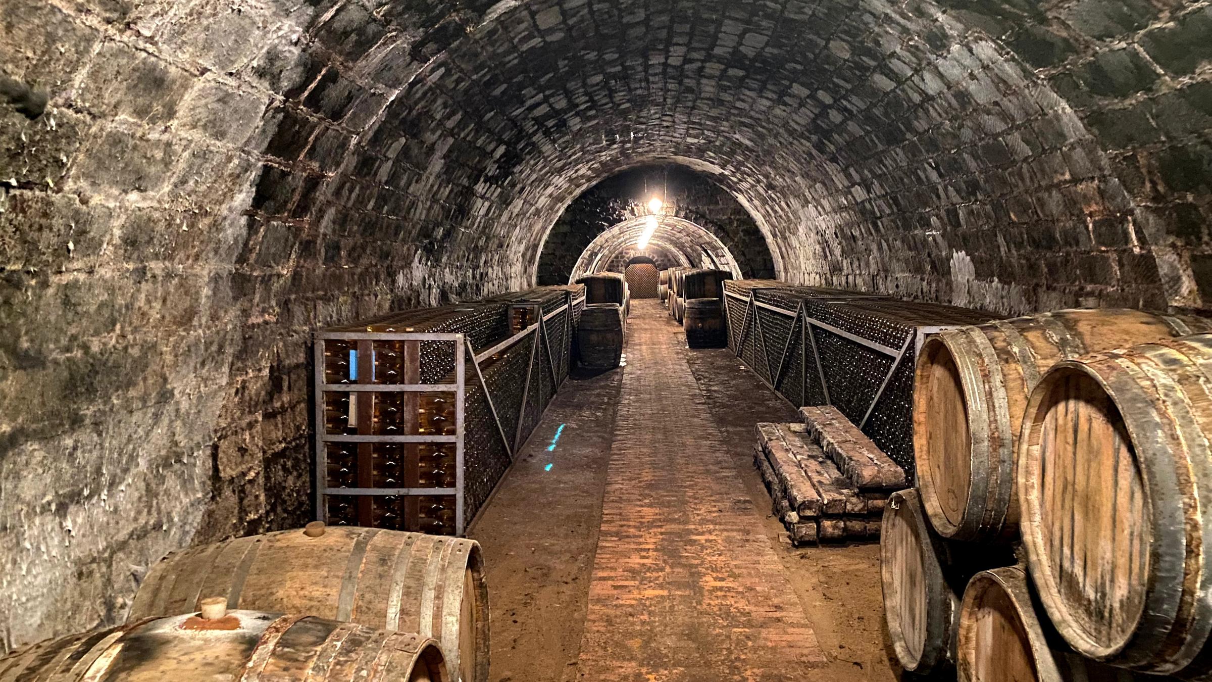 "Terra X: Wein - Eine Geschichte durch Jahrtausende": Ein Weinkeller mit Holzfässern
