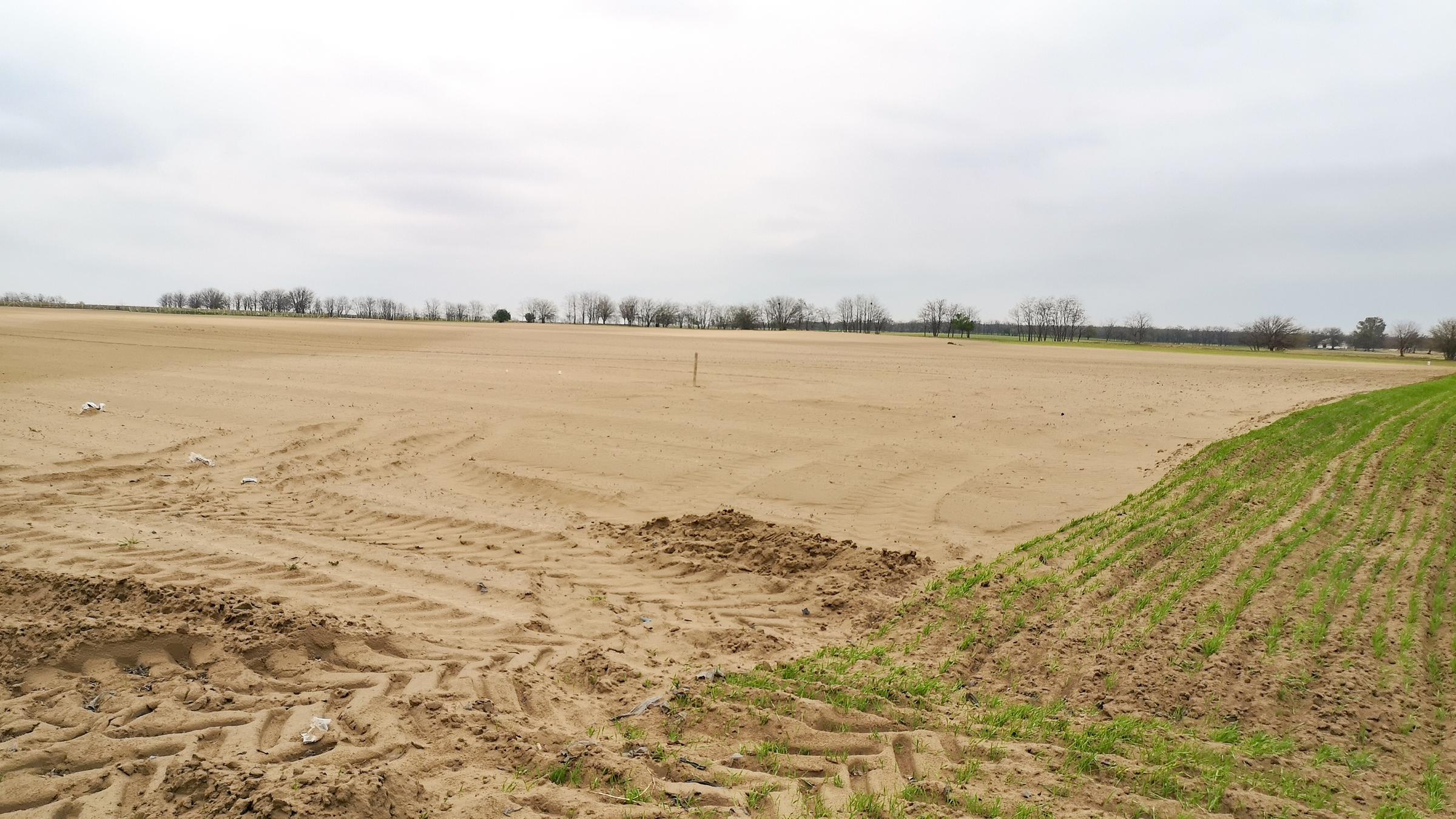 "Dürre in Europa - Die Katastrophe ist hausgemacht": Große, leere Sandfläche neben bepflanztem Ackerteil. Im Hintergrund ist eine Reihe Bäume zu sehen.