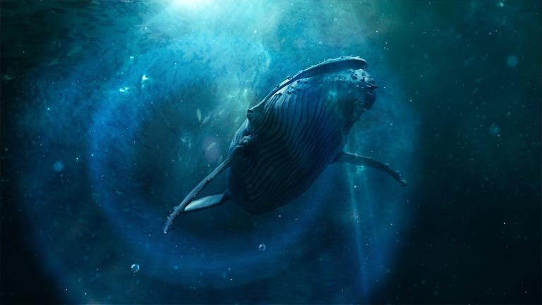"Der Schwarm - Die Doku: Wie gefährlich sind Wale?": CGI: Unterwasseraufnahme eines schwimmenden Wals. Licht fällt von auf die Wasseroberfläche.