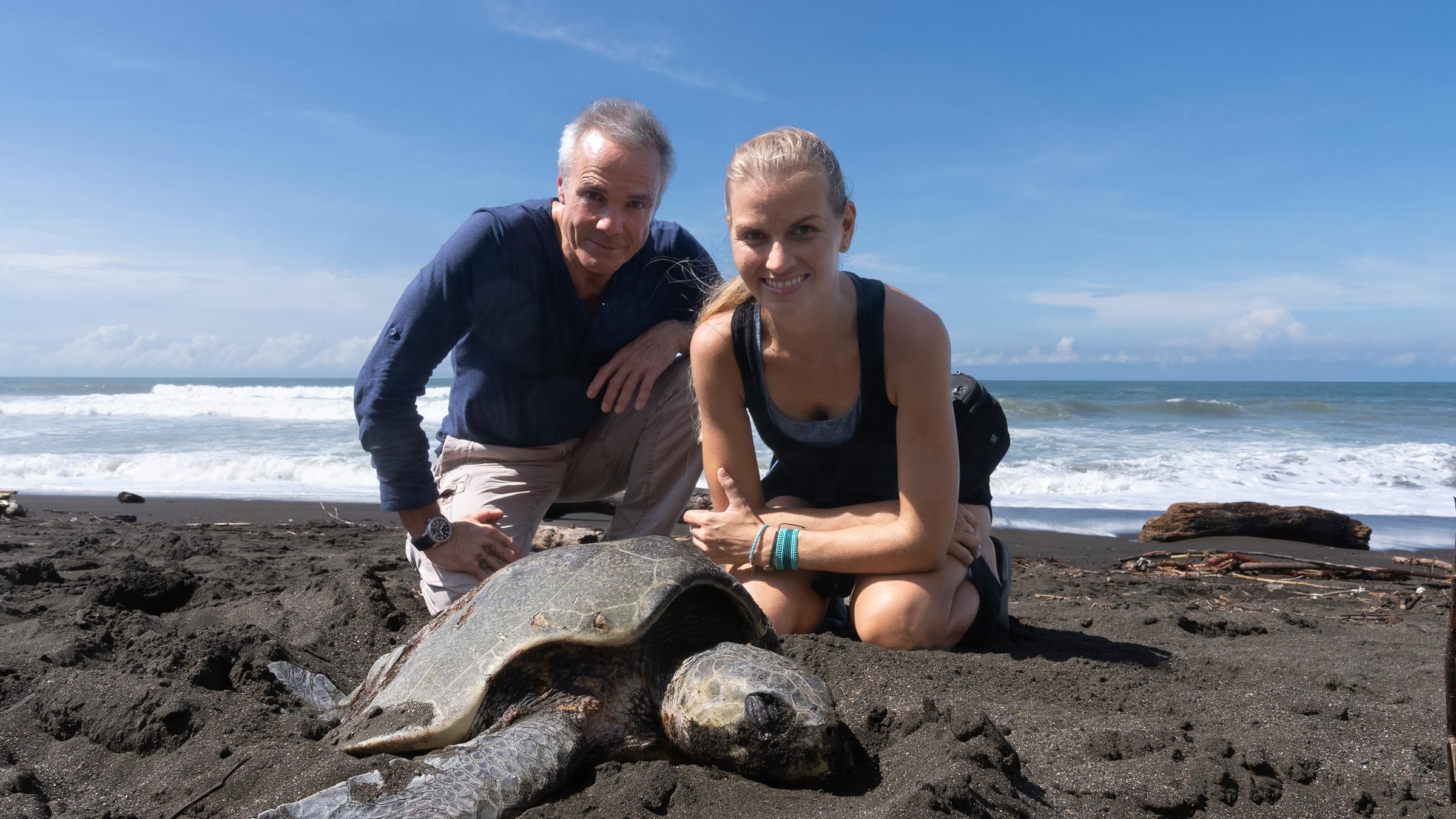 "Hannes Jaenicke - Im Einsatz für Meeresschildkröten": Hannes Jaenicke und Dr. Christine Figgener knien am Strand vor einer Meeresschildkröte.