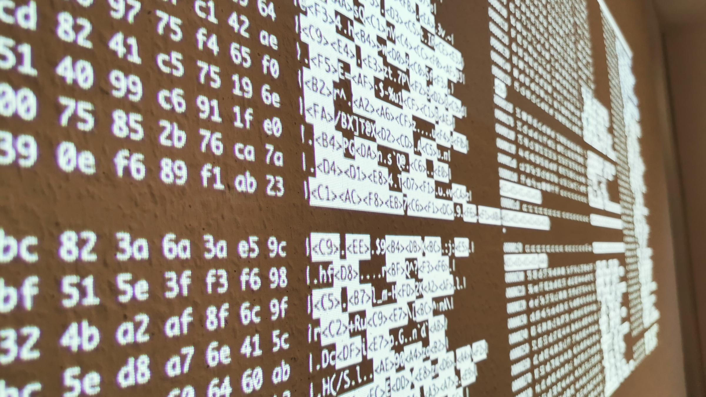 "Skrupellos! Kriminelle Maschen - Tatort Internet": Display mit Zahlen und Codes auf einem Display.