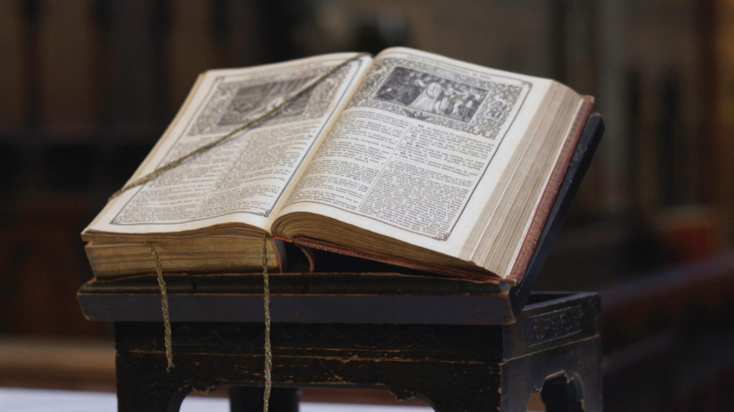 "Die Zeugen Jehovas": Das Bild zeigt ein aufgeschlagenes Buch.