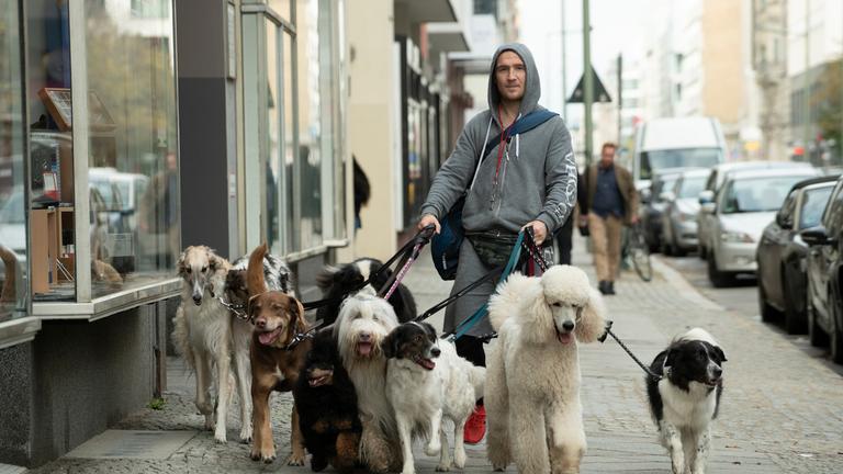 "Wuff - Folge dem Hund": Oli (Frederick Lau) geht mit einem Rudel Hunden an der Leine den Bürgersteig entlang.