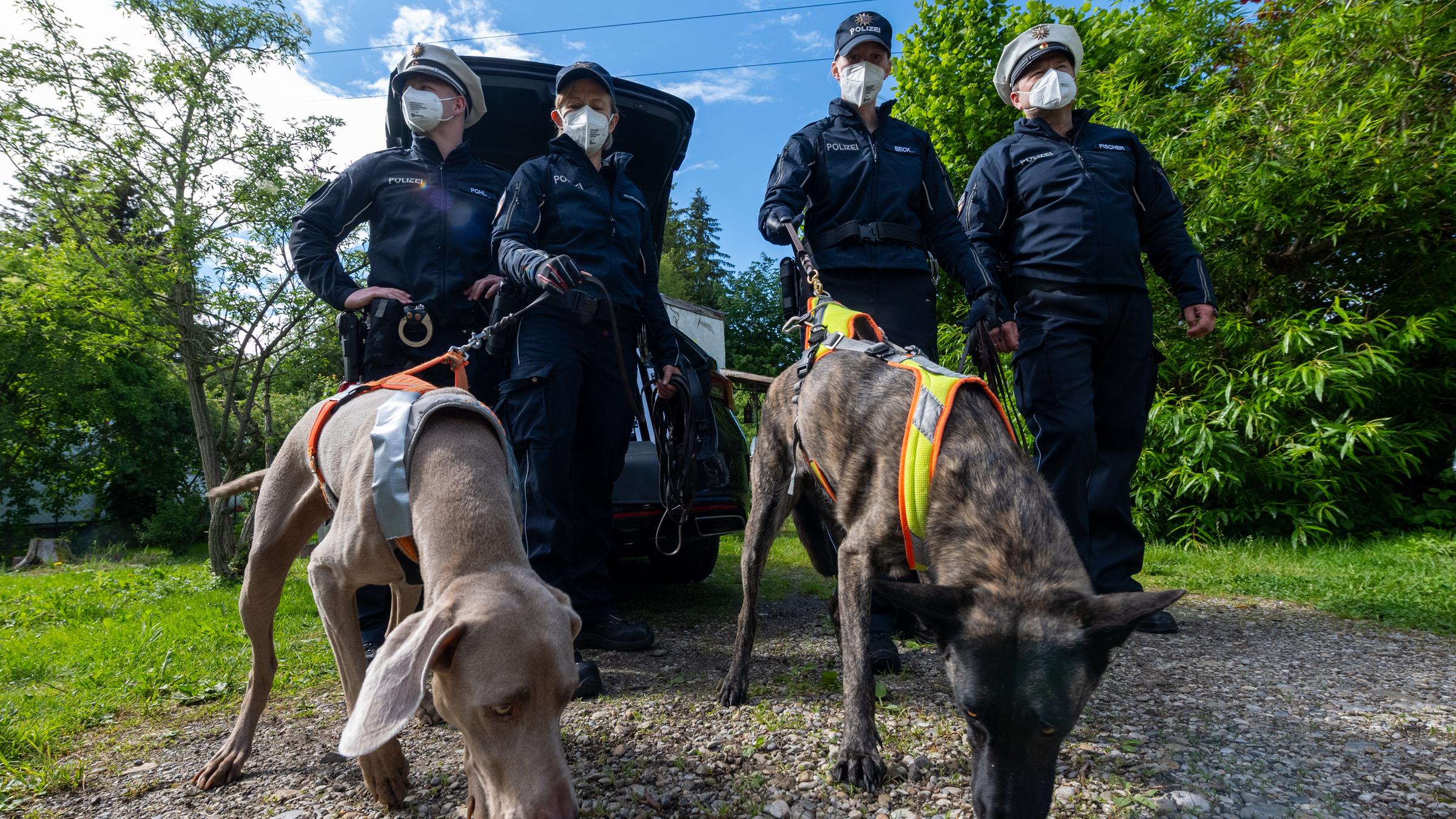"Aktenzeichen XY... Vermisst": Nachgestellte Szene: Eine Gruppe von vier Polizisten und Polizistinnen in Uniform befindet sich auf einem Waldweg. Alle vier tragen FFP2-Masken. Sie halten zwei dunkle Spürhunde an der Leine, die den Boden beschnüffeln.