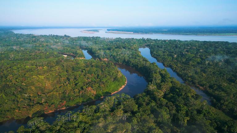 "Terra X: Amazonien - Expedition in den Regenwald": Landschaftspanorama: Der Regenwald von oben.