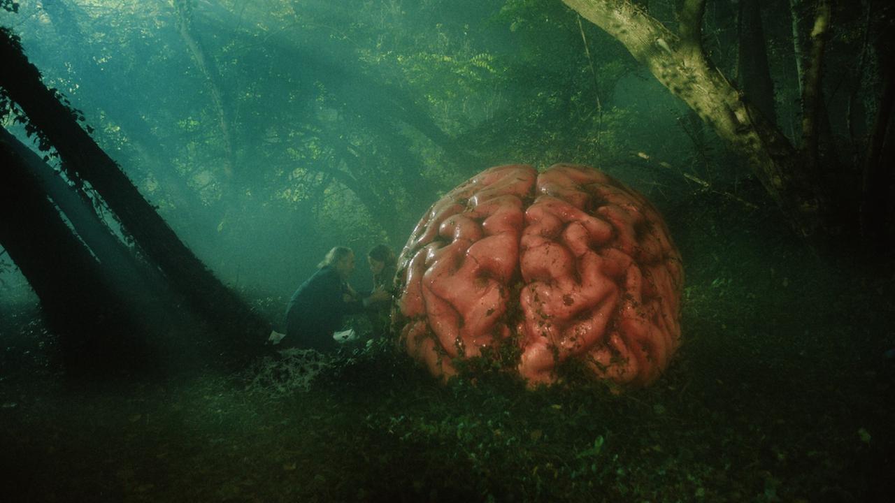 "Rumours" (41. Filmfest München: In einem undurchdringlichen Wald wächst ein gigantisches Gehirn auus dem Boden. Im Hintergrund hocken zwei Frauen und halten sich gegeseitig in den Armen.