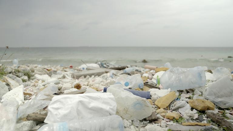 "Greenwashed? Der Schuh aus Meeresplastik": Plastikmüll liegt am Meeresstrand.