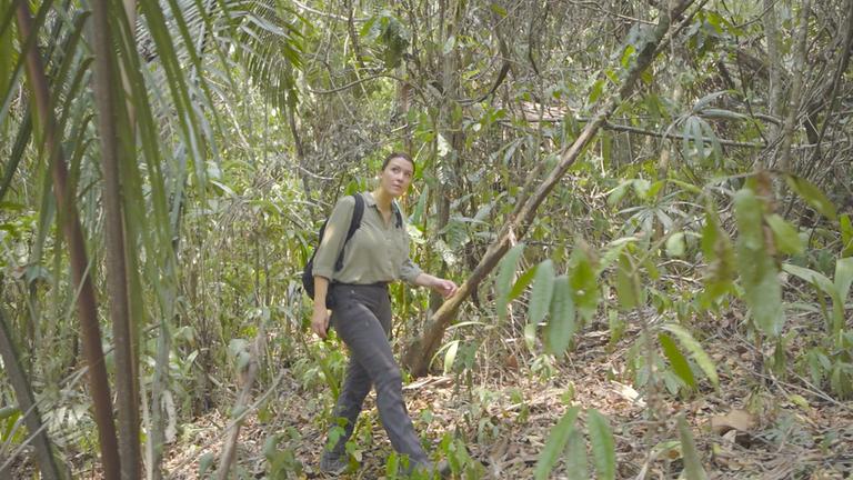 "Terra X: Faszination Erde - mit Hannah Emde": Hannah Emde unterwegs im Dschungel von Guatemala.