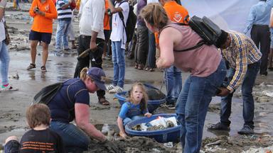 Internationaler Coastal-Cleanup-Day