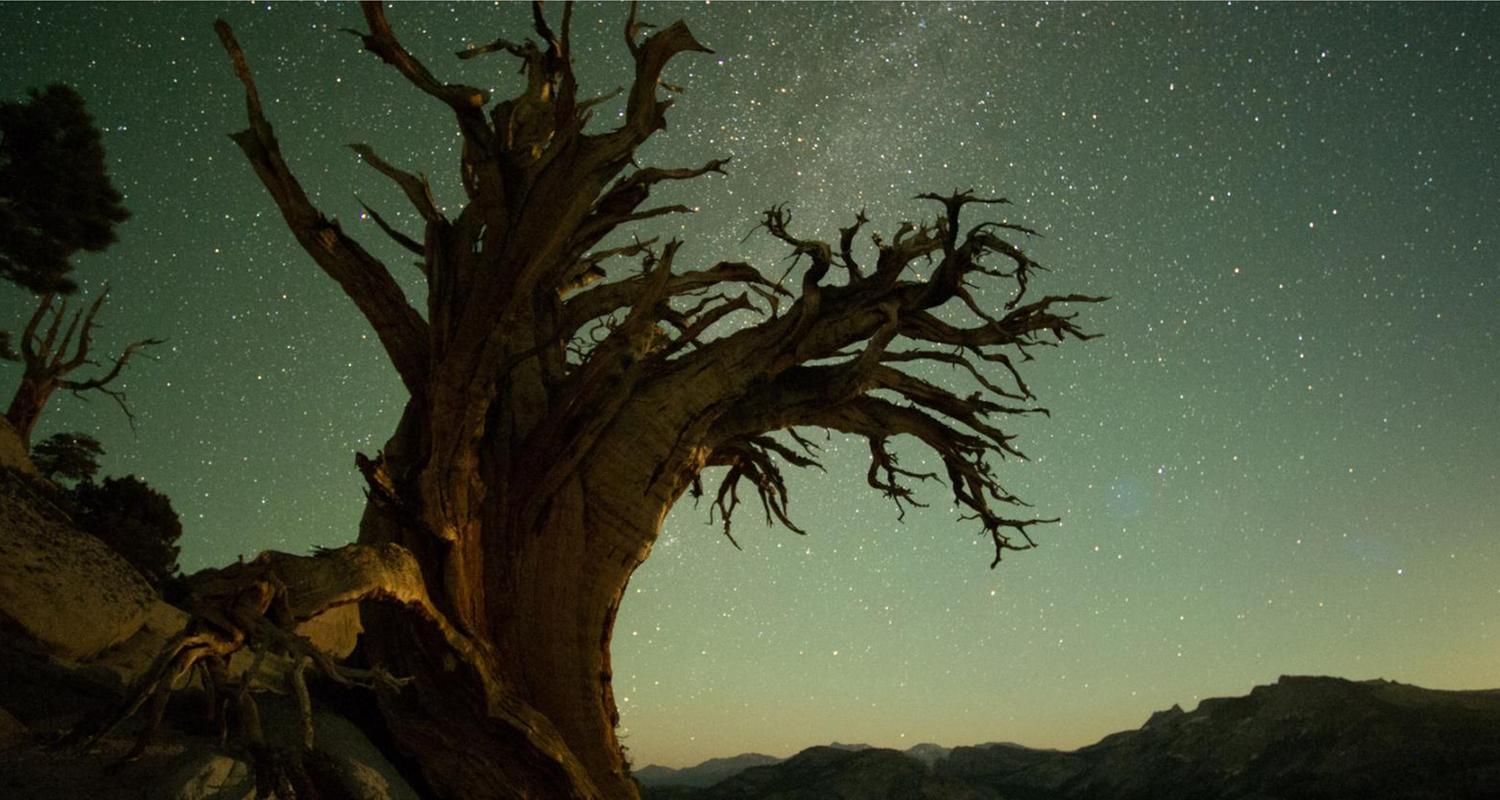 Amerikas Naturwunder