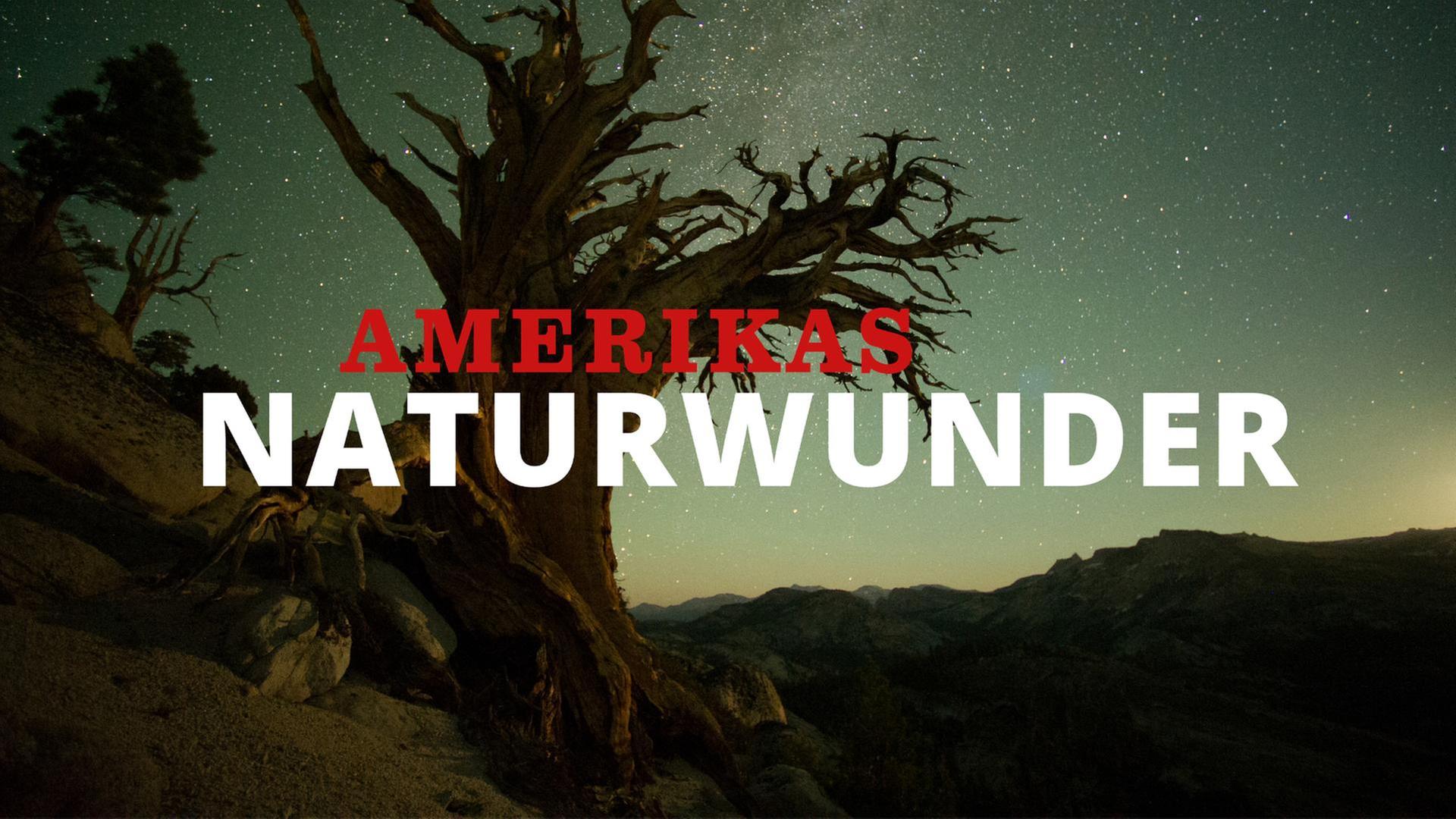 Amerikas Naturwunder