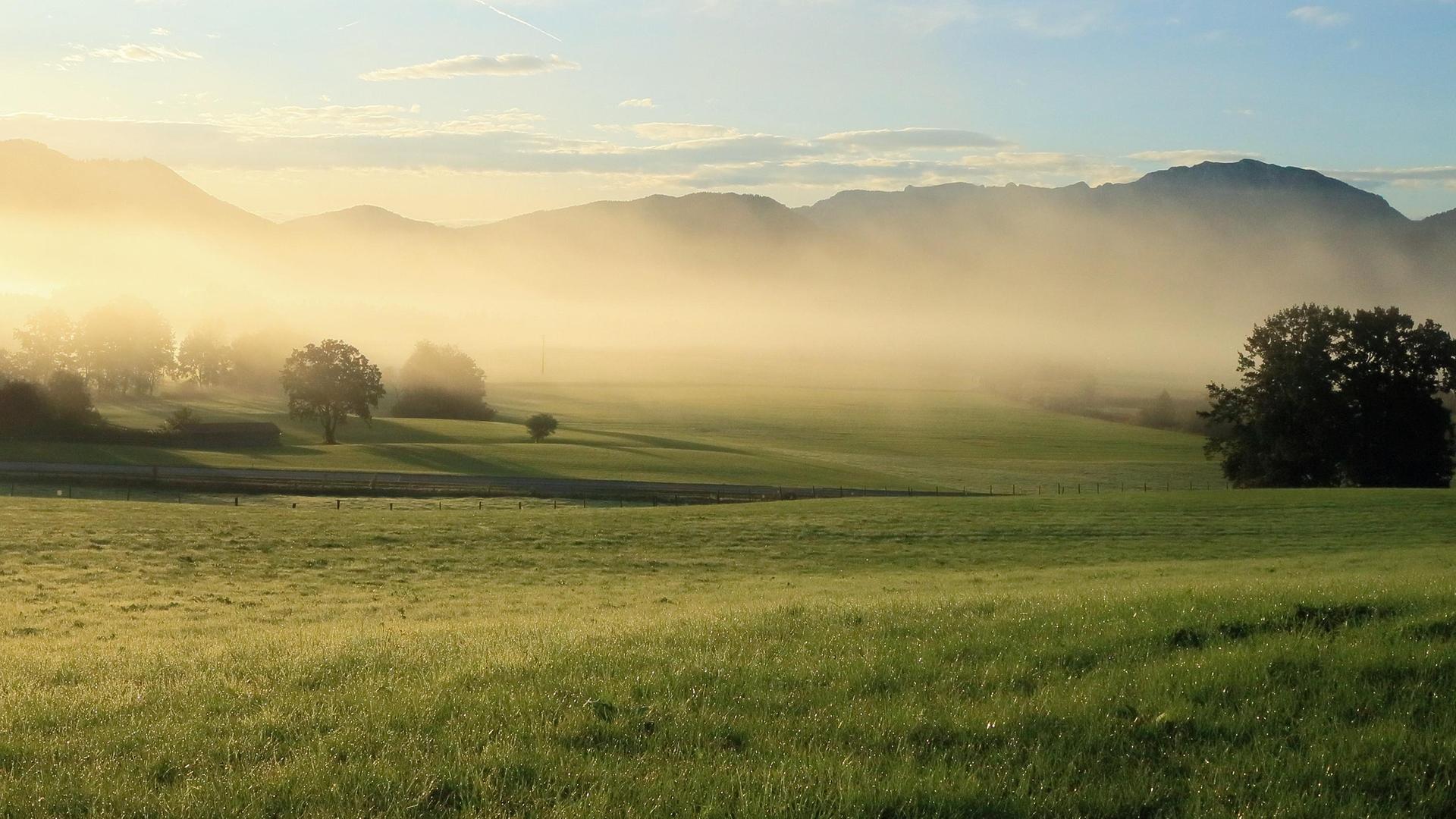 Bilder einer Landschaft