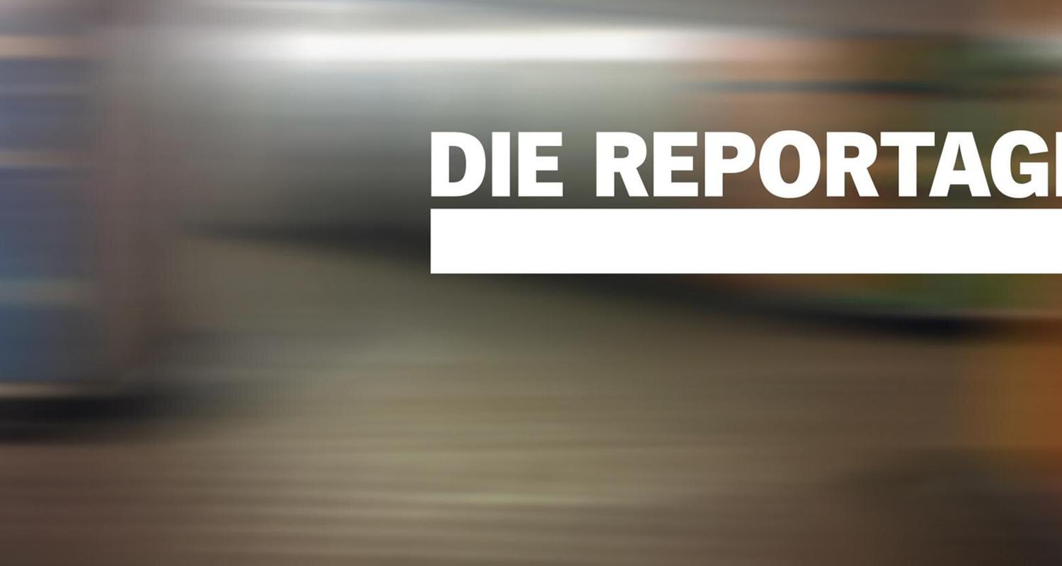 DIE REPORTAGE