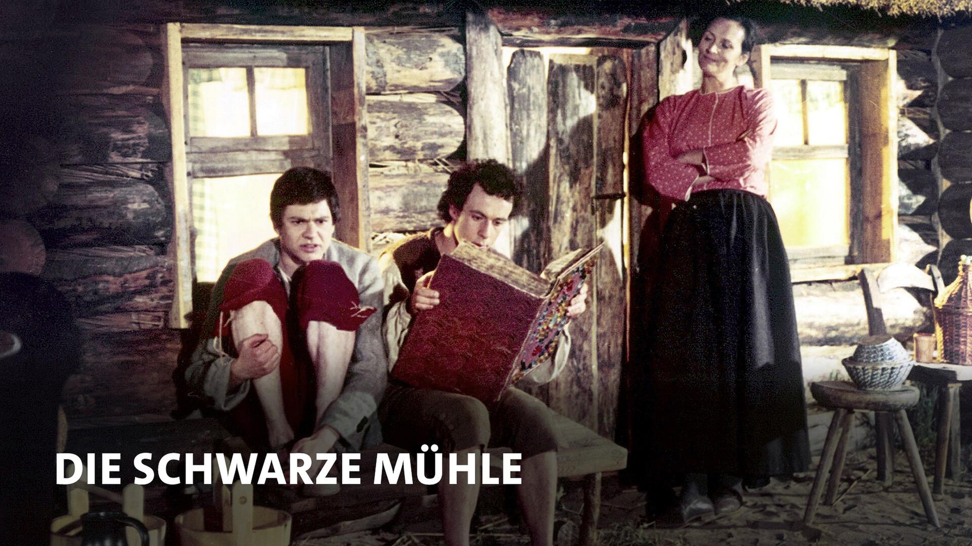 Die schwarze Mühle