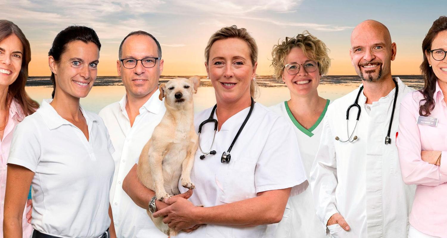 Die Tierärzte - Retter mit Herz