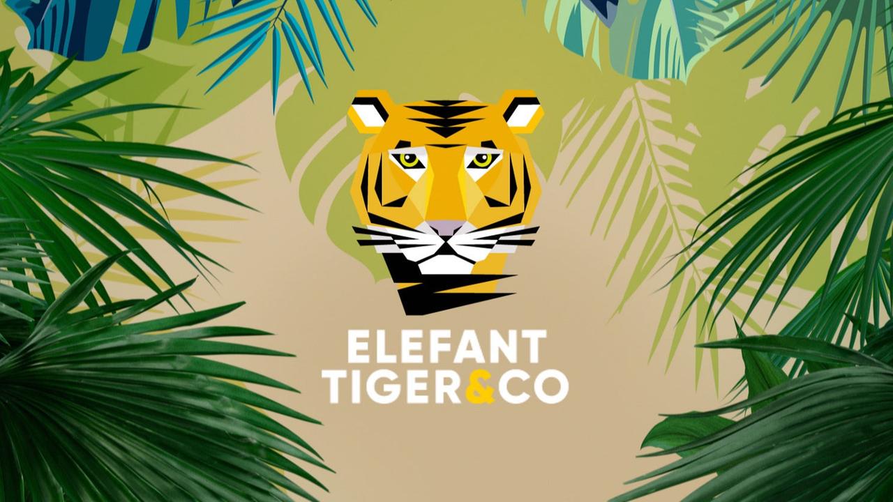 Elefant, Tiger & Co.