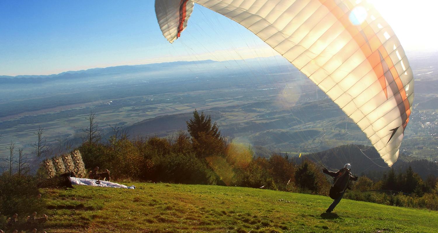 Expedition in die Heimat