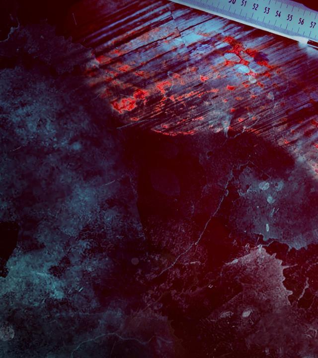 Große Kriminalfälle in Berlin & Brandenburg