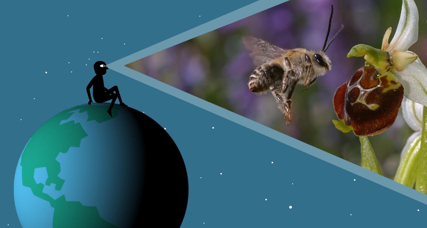 Gute Nachrichten vom Planeten