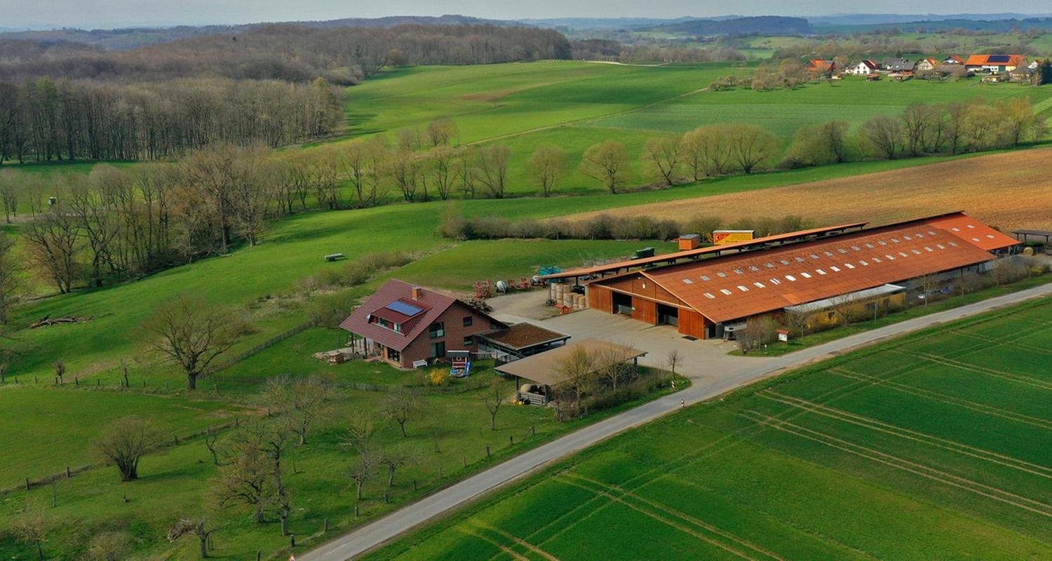 Hofgeschichten: Leben auf dem Land