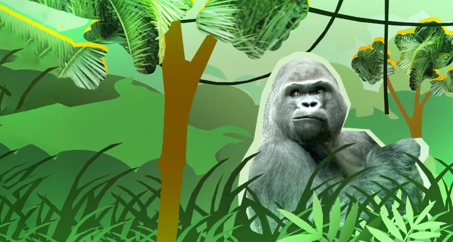 Panda, Gorilla & Co.