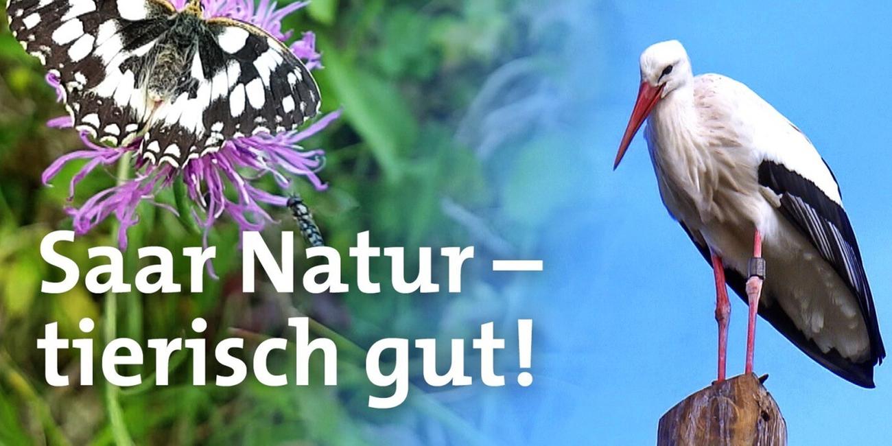 Saar Natur - tierisch gut!