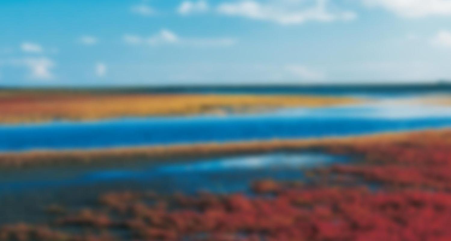 Schleswig-Holstein Magazin