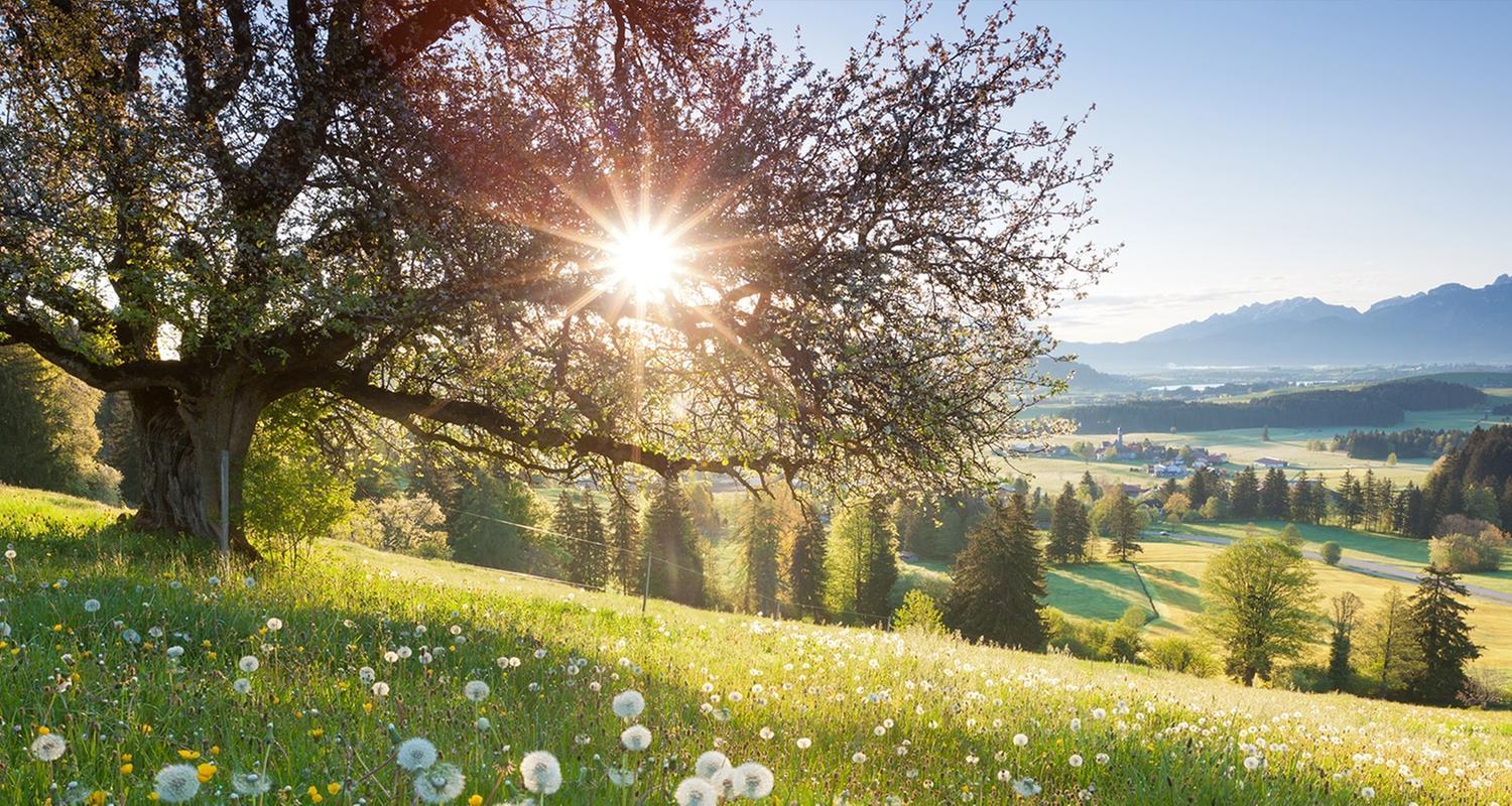 Schwaben + Altbayern