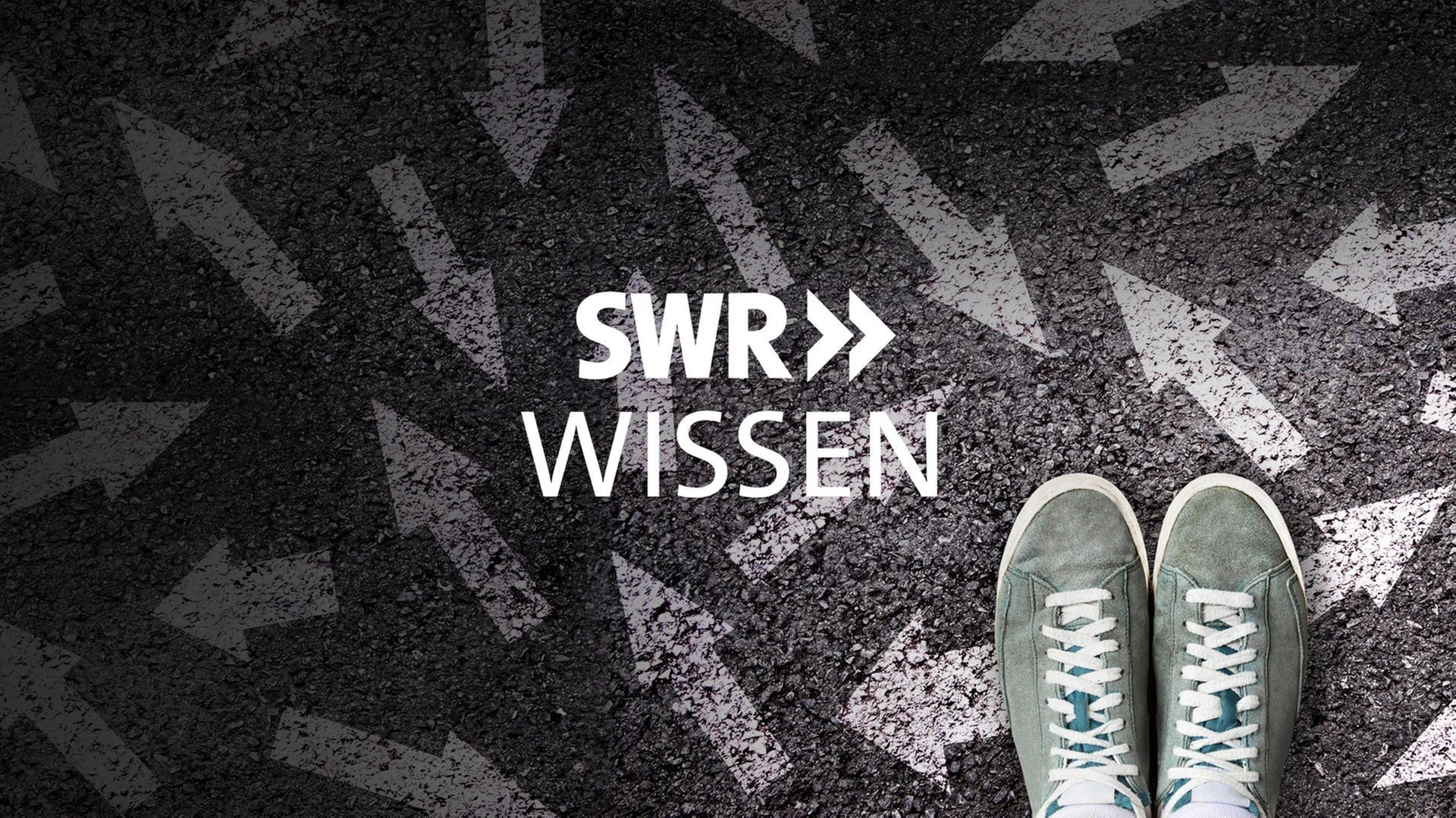 SWR Wissen