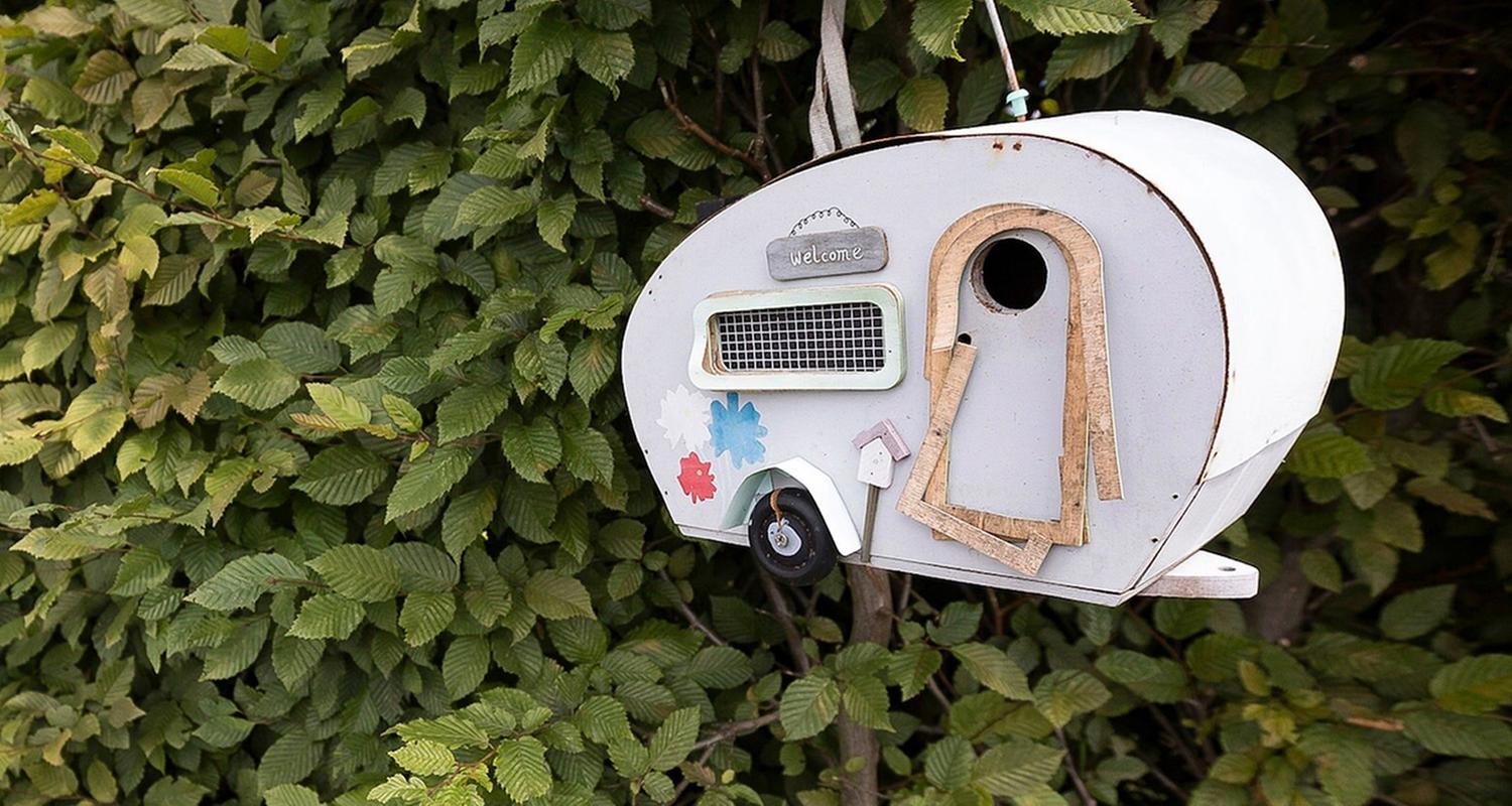 Verrückt nach Camping