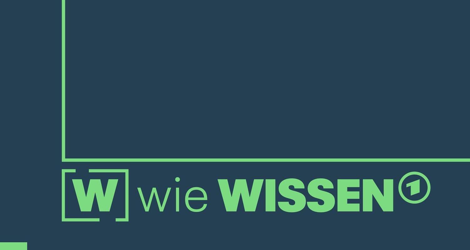 W wie Wissen
