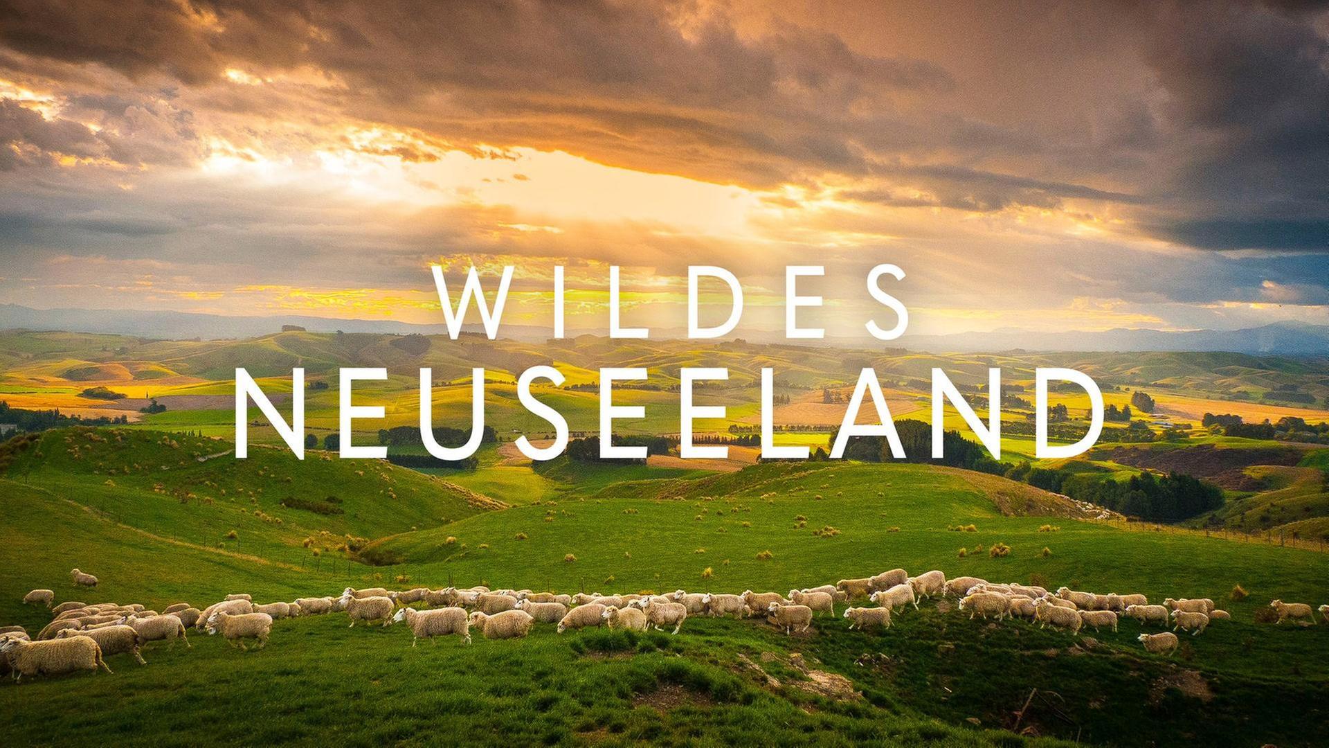 Wildes Neuseeland