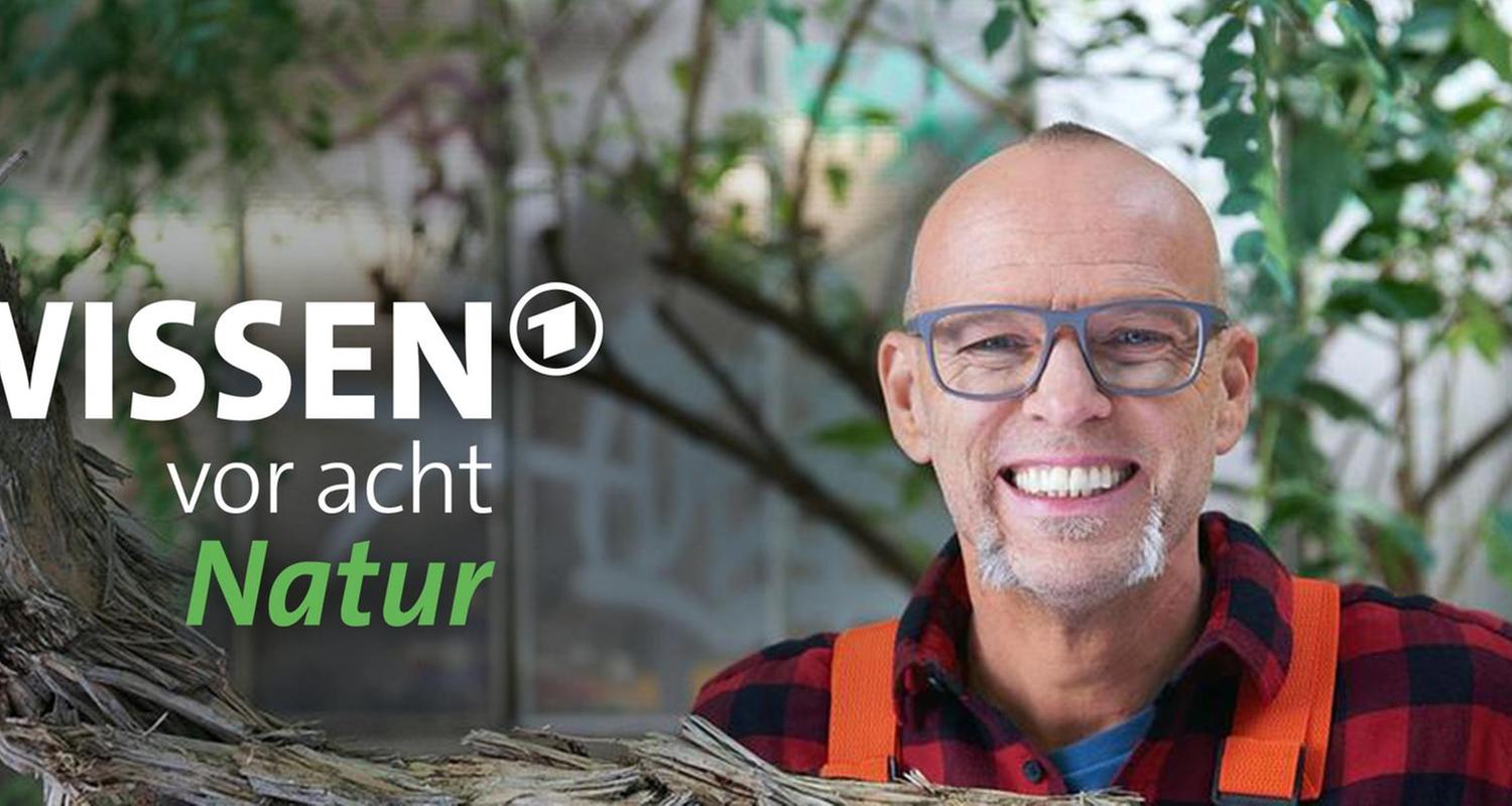 Wissen vor acht - Natur
