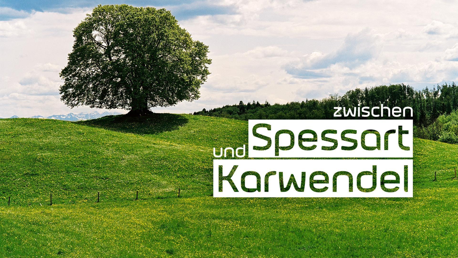 Zwischen Spessart und Karwendel