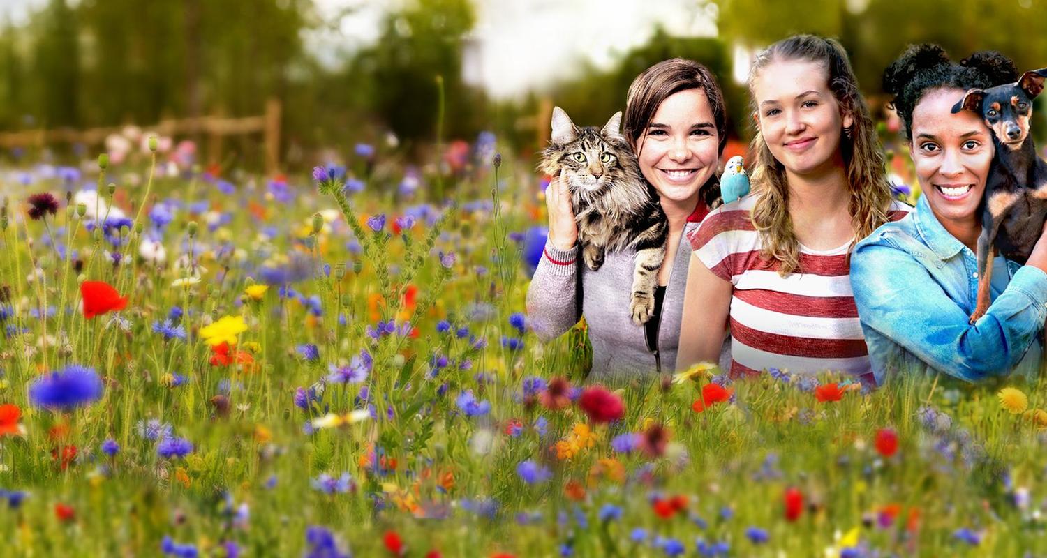 Anna, Nina, Pia und die Haustiere