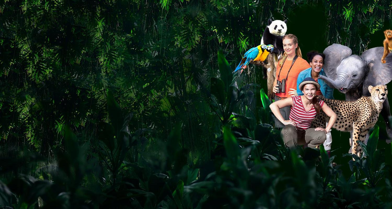 Anna, Nina, Pia und die wilden Tiere
