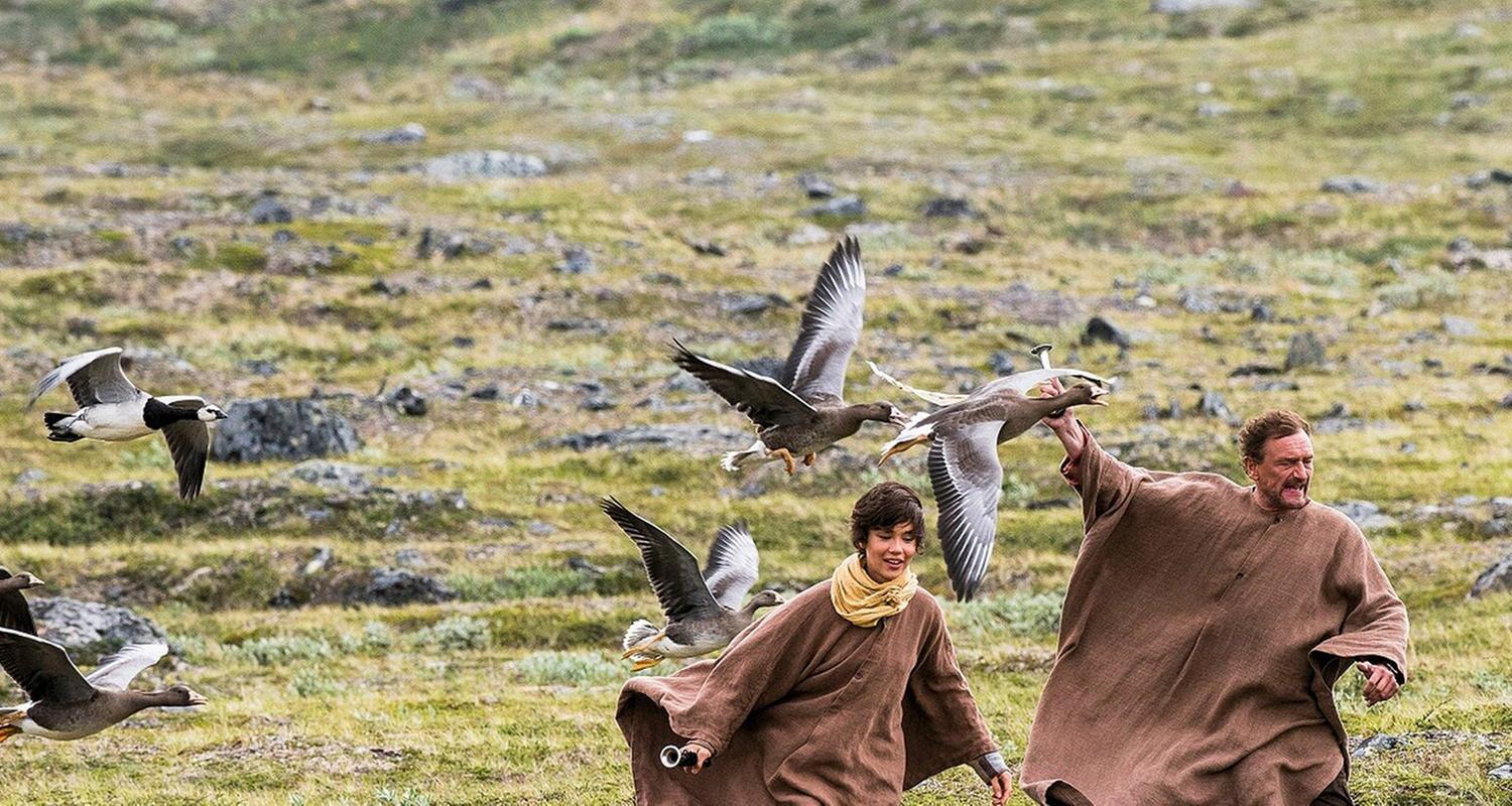 Der Junge und die Wildgänse