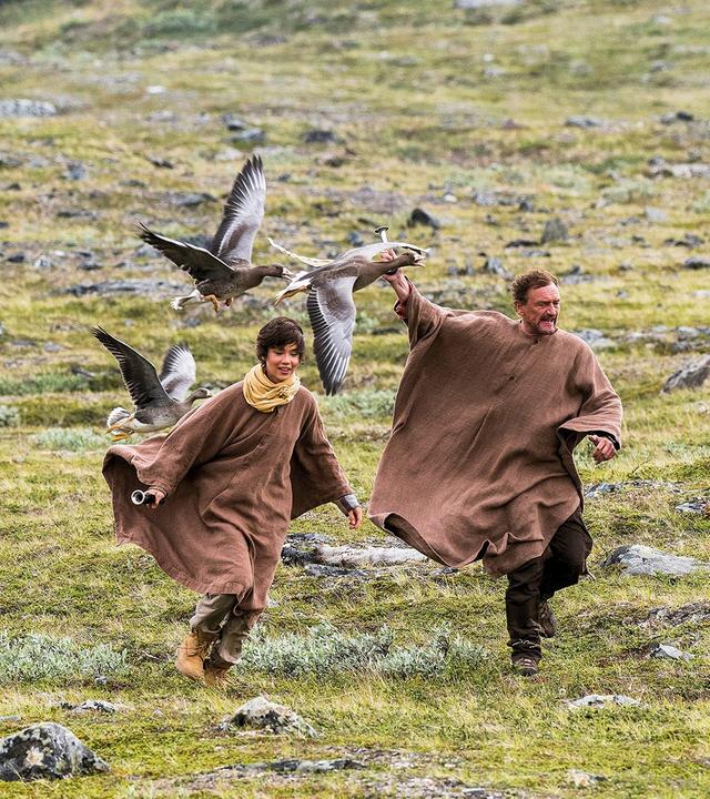 Der Junge und die Wildgänse