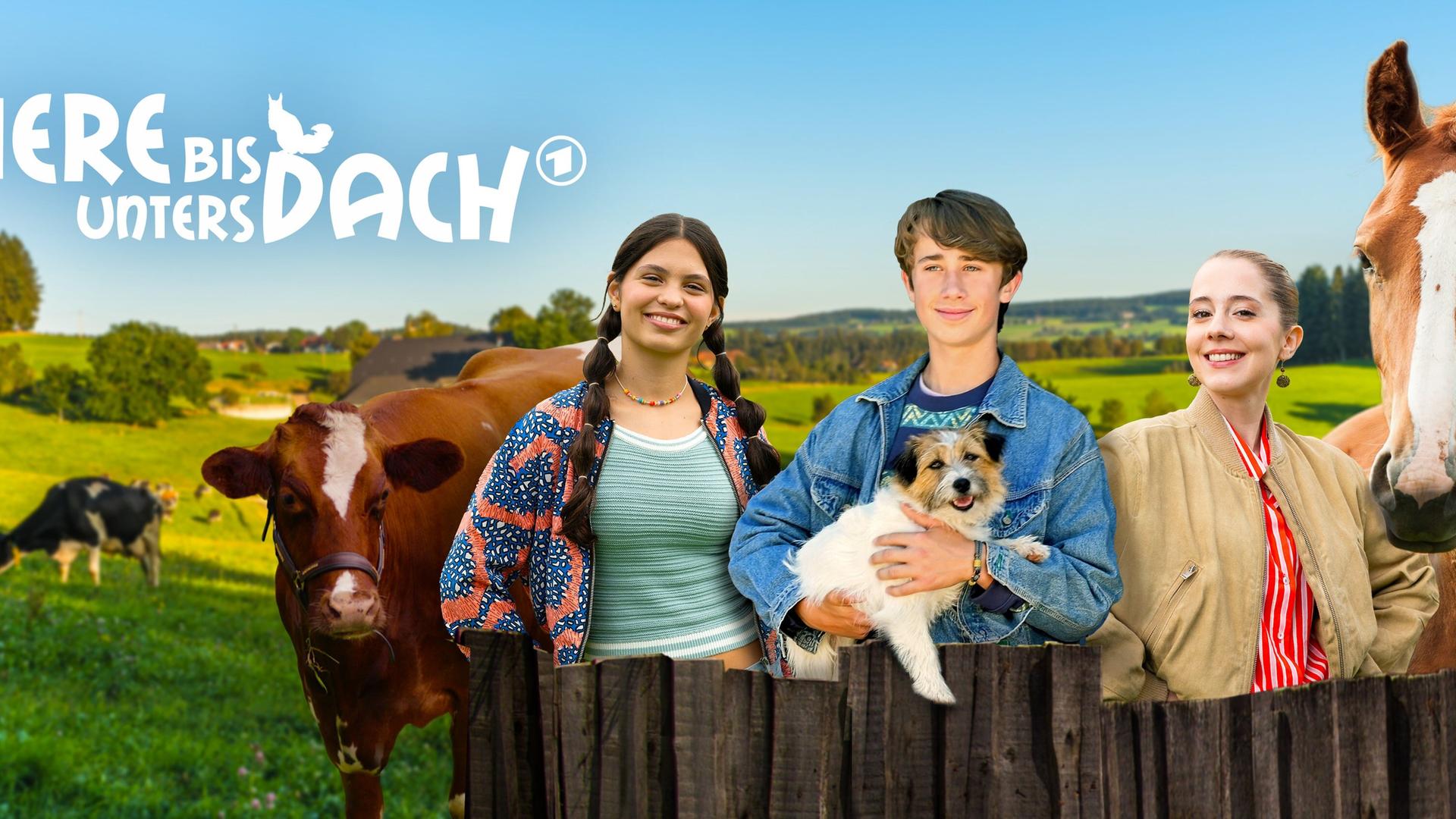 Tiere bis unters Dach