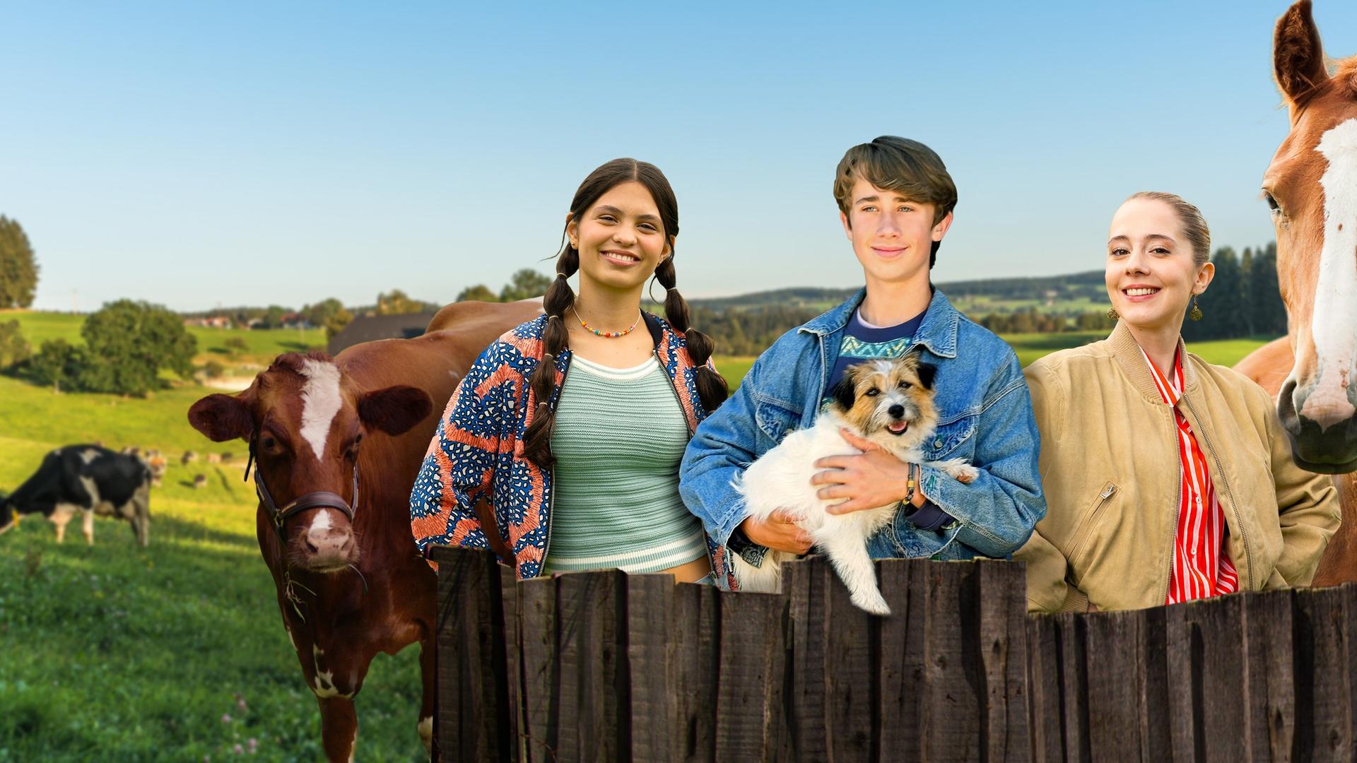 Tiere bis unters Dach